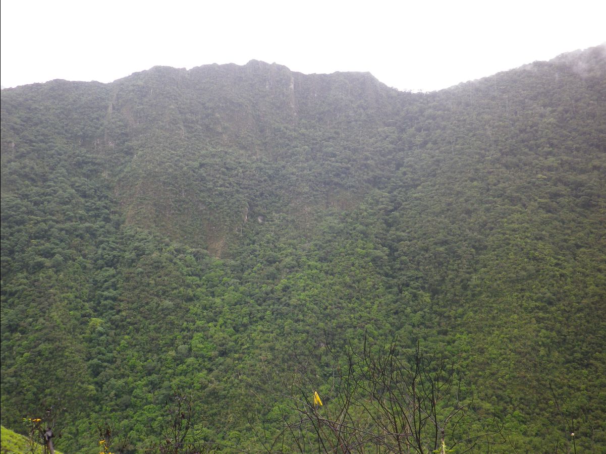 Inca Trail to Machu Picchu05